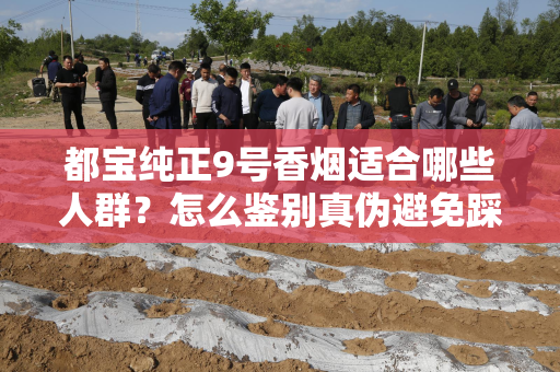 都宝纯正9号香烟适合哪些人群？怎么鉴别真伪避免踩坑？